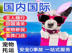 延吉机场快运国际宠物托运 【国